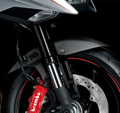 gsx-s1000sm0_carbonfrontfender-crop-u122239