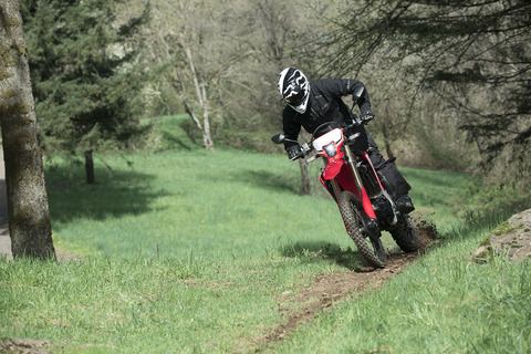 CRF450L (5)