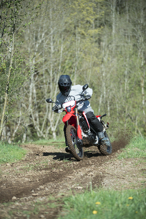 CRF450L (1)