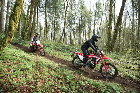 CRF450L (9)