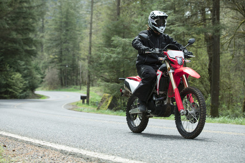 CRF450L (7)